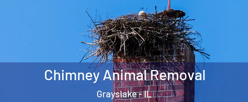 Chimney Animal Removal Grayslake - IL