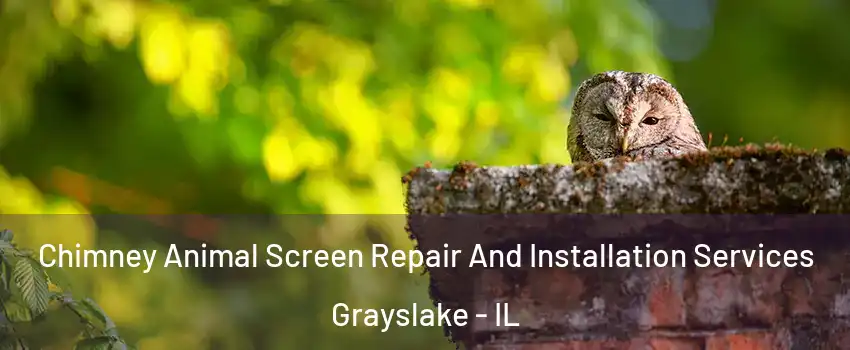  Chimney Animal Screen Repair And Installation Services Grayslake - IL