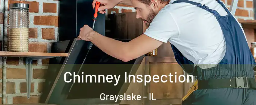  Chimney Inspection Grayslake - IL