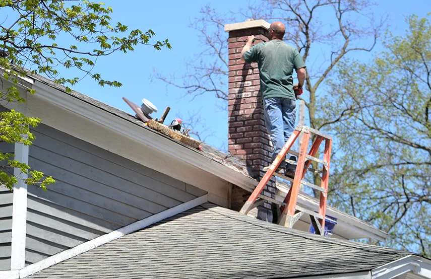 Chimney & Fireplace Inspections Services in Grayslake, IL